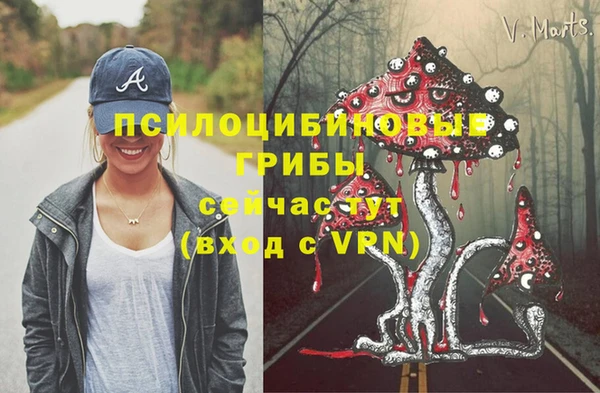 дурь Алексин