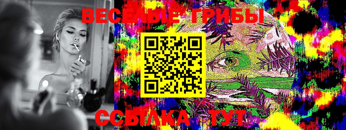 Галлюциногенные грибы Psilocybe  Вход с VPN  Камышин 
